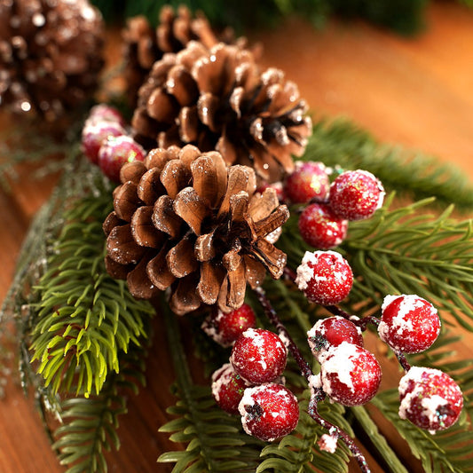 Pine and Crab Apple Stem - Christmas Place
