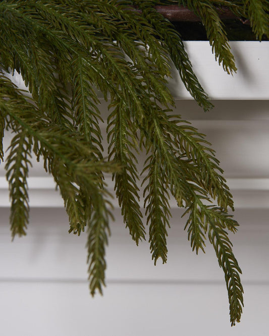 60in Natural Touch Norfolk Pine Garland - Christmas Place 2026 Viral Trend