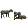 Sheep Family - Christmas Place