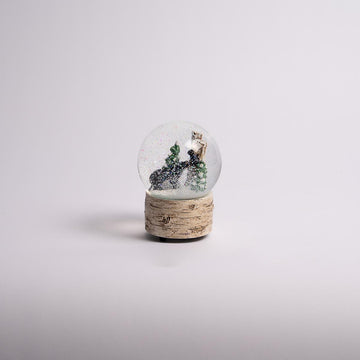 Musical Black Bear Waterball