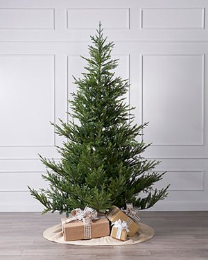 7ft Christmas Trees