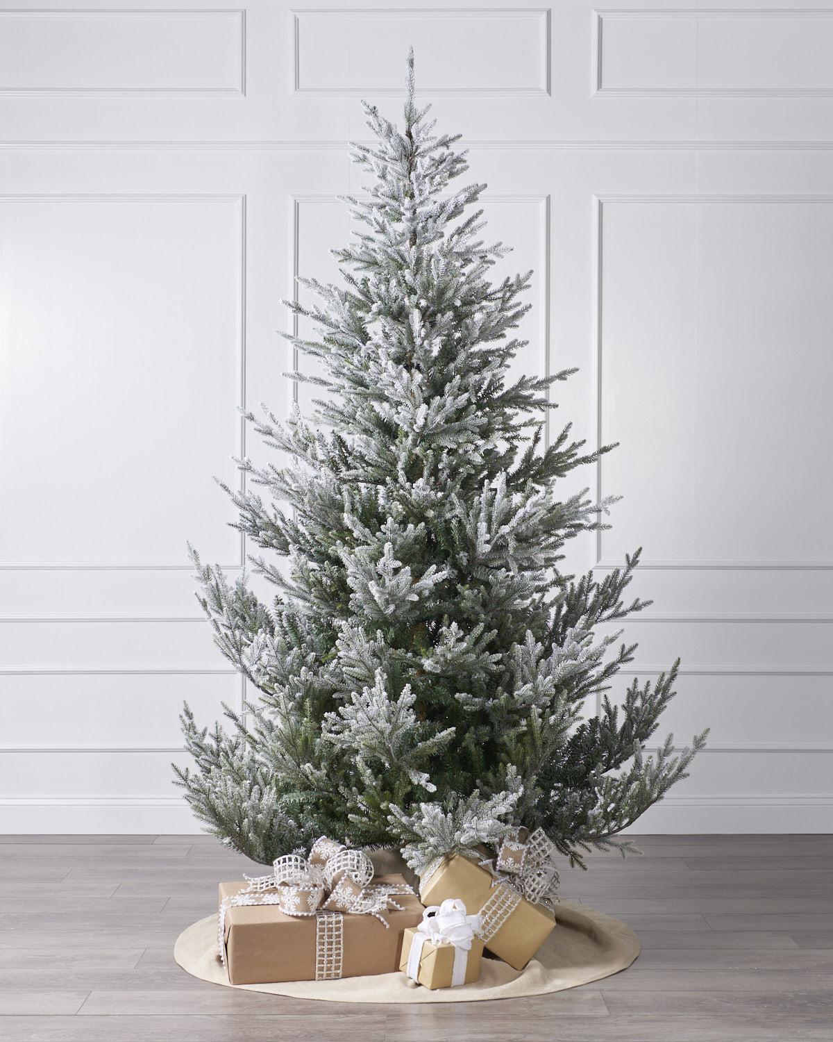 Snowy Norway Spruce Christmas Trees – Christmas Place