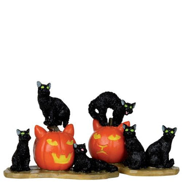 Halloween Cats
