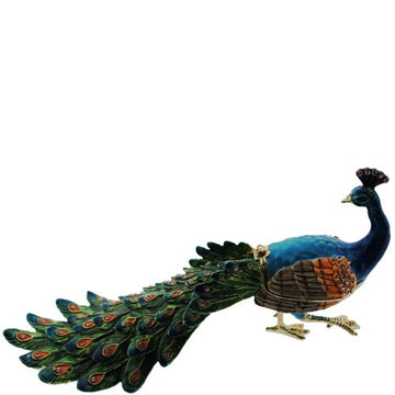 Large Peacock