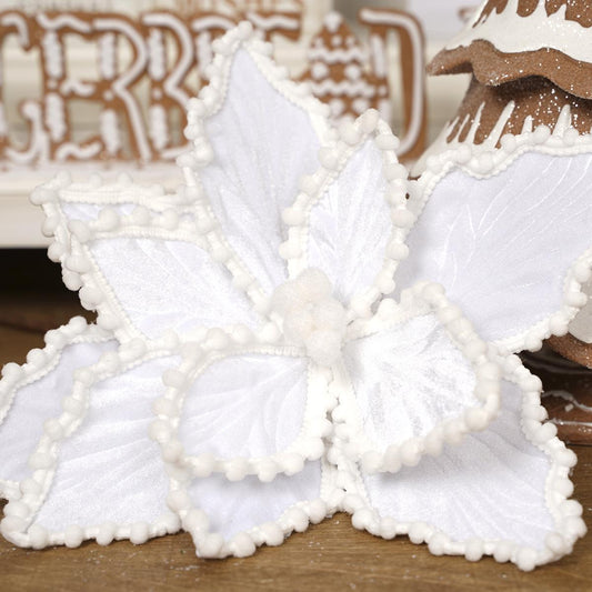 White Pom Pom Poinsettia