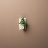 Christmas Tree Bubble Night Light - Christmas Place