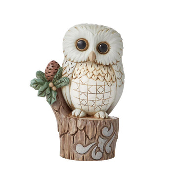White Woodland Owl On Stump