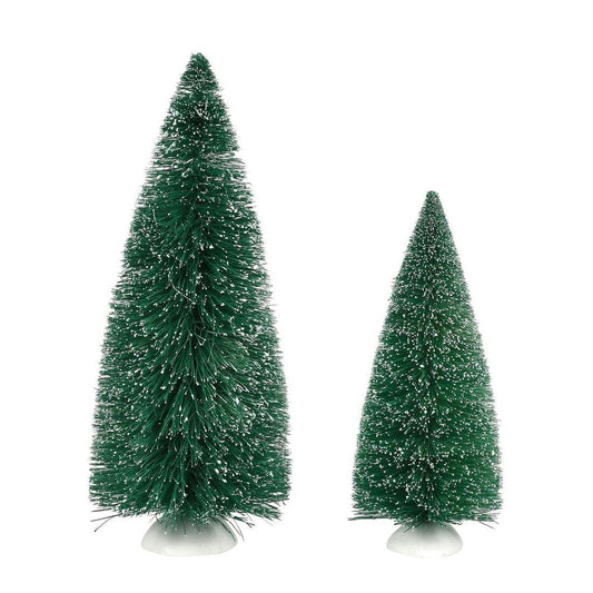 Blue Spruce Pines Set of 2