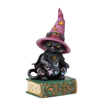 Pint Black Cat Sitting On Book