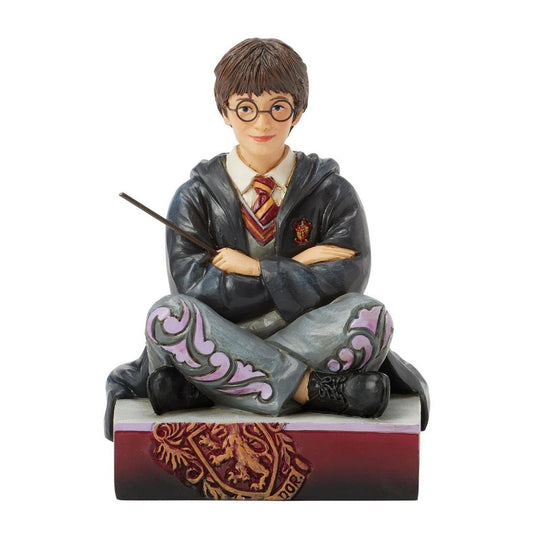 Harry Potter With Wand