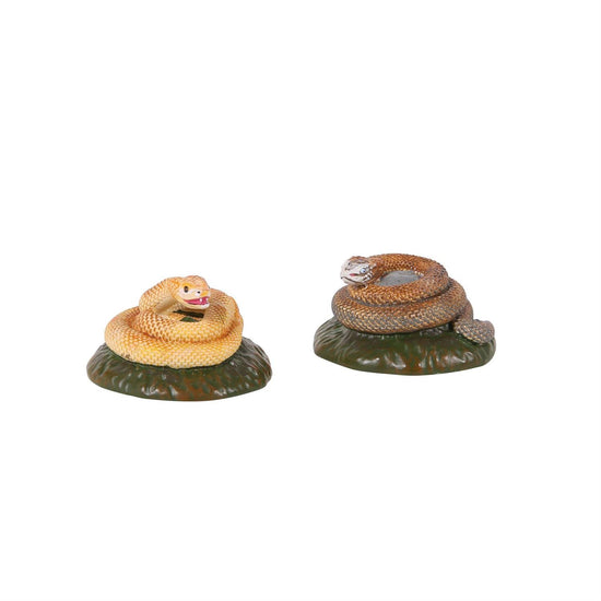 2026 Rattlers Set of 2 - Christmas Place