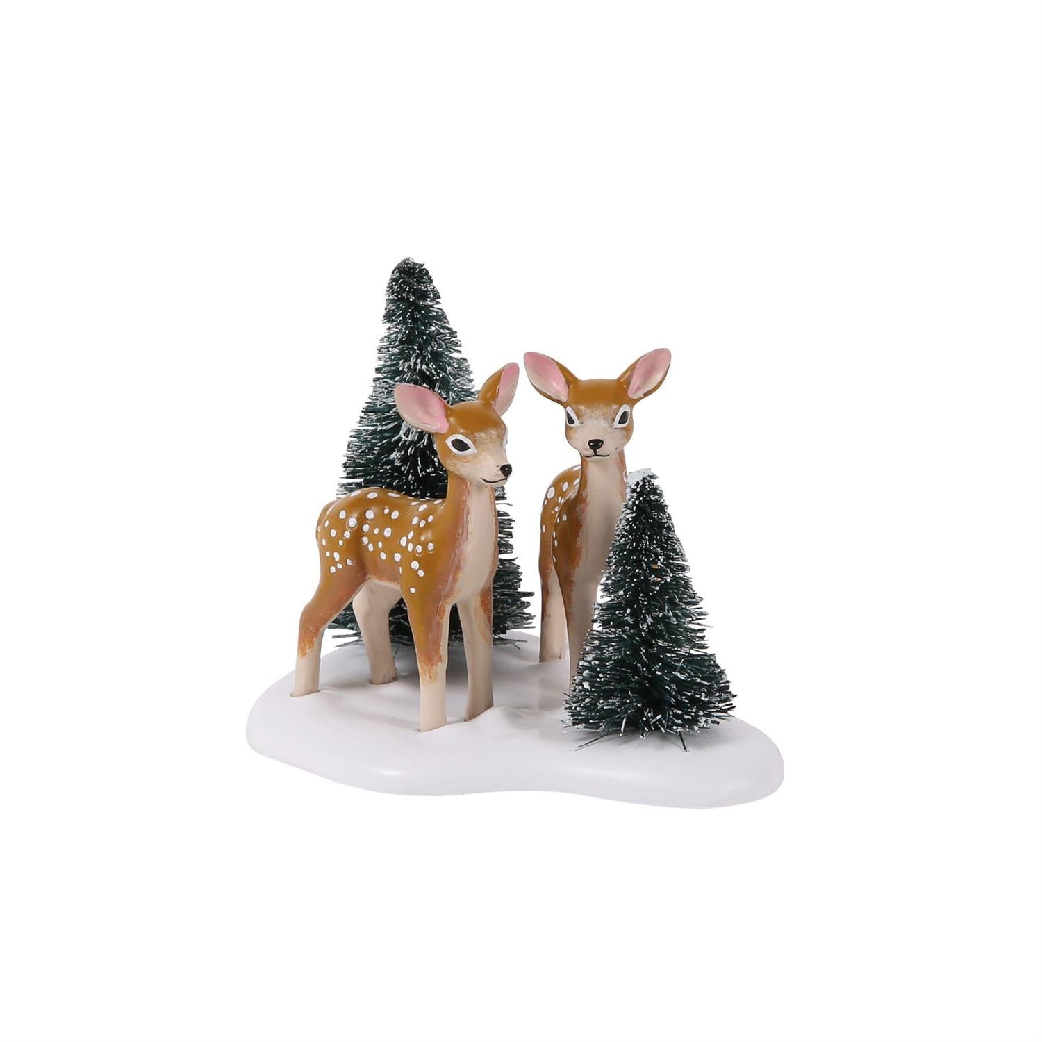 Spotted in the Wild 2026 - Christmas Place