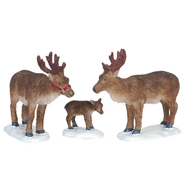 Reindeer Set Of 3