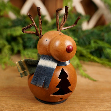 Dash Gourd - Christmas Place