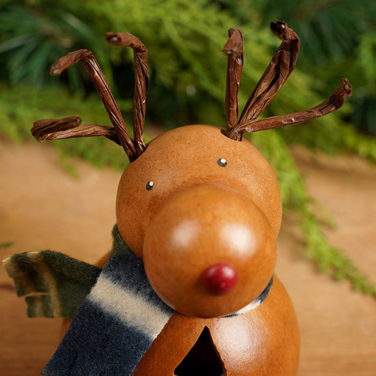 Dash Gourd - Christmas Place