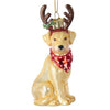 Glass Yellow Lab Ornament - Christmas Place
