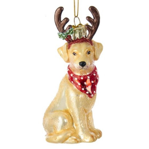 Glass Yellow Lab Ornament