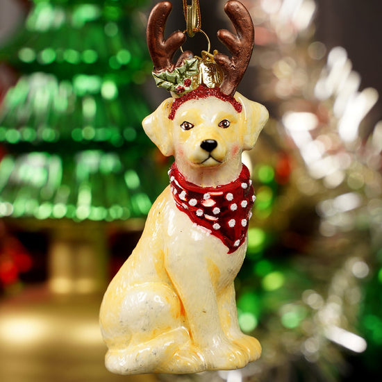 Glass Yellow Lab Ornament - Christmas Place