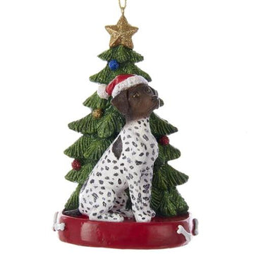 Short Haired Pointer with Tree