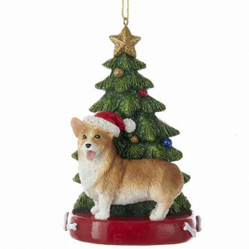 Corgi with Tree