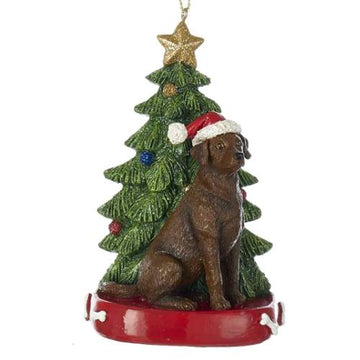 Chocolate Lab with Tree