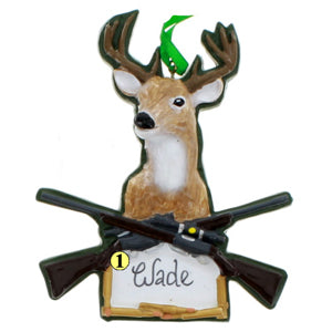 Deer Hunt with Gun