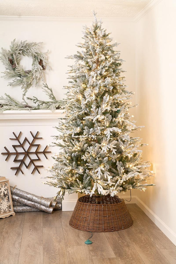 7.5ft Nordic Flocked Fir Color Changing - Christmas Place