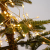 Warm White Classic Warm Micro Compact - Christmas Place