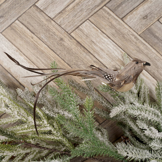 Dark Feathered Bird Christmas Decor - Christmas Place
