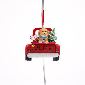 Goldendoodle In Back Of Truck