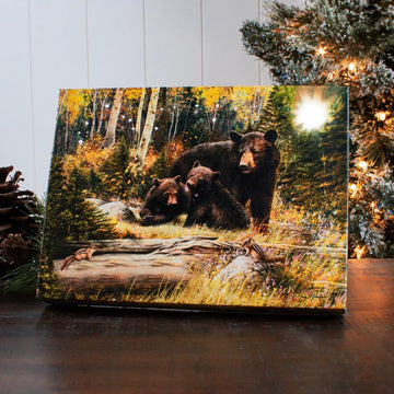 8x6 Black Bear Family