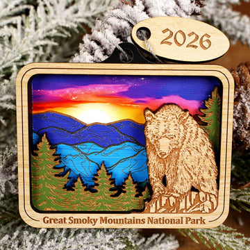 GSMNP Bear Colorful Sky Ornament - Christmas Place