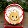 Hamster In Wheel