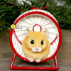 Hamster In Wheel