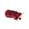 Christmas Decor Tube of Christmas Berries Christmas Decor - Christmas Place