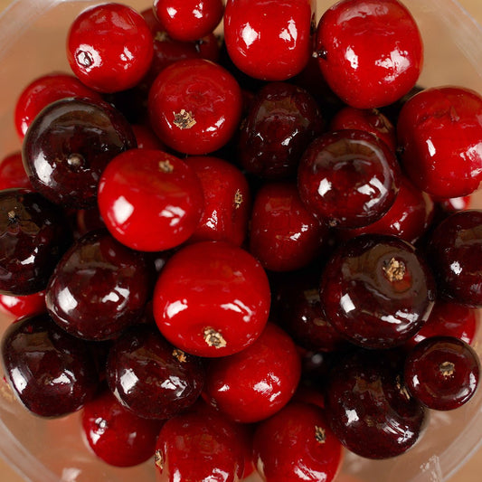 Red and Burgundy Tube of Christmas Berries Christmas Decor - Christmas Place