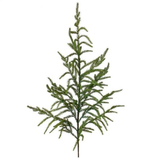 Natural Norfolk Pine Spray