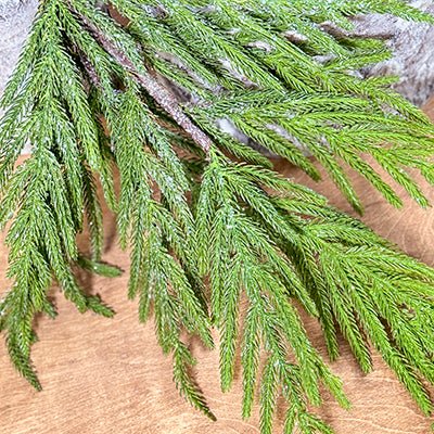 Iced Garden Norfolk Pine Branch - Christmas Place