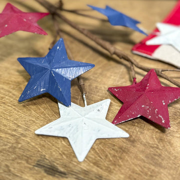 28 Inch Metal Star Spray