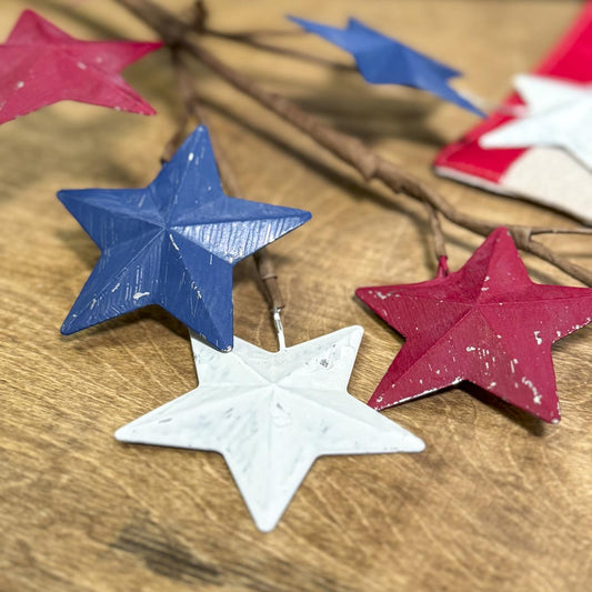 28 Inch Metal Star Spray