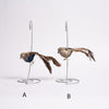 Longtail Quail - Christmas Place