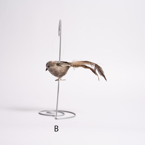 Longtail Quail - Christmas Place