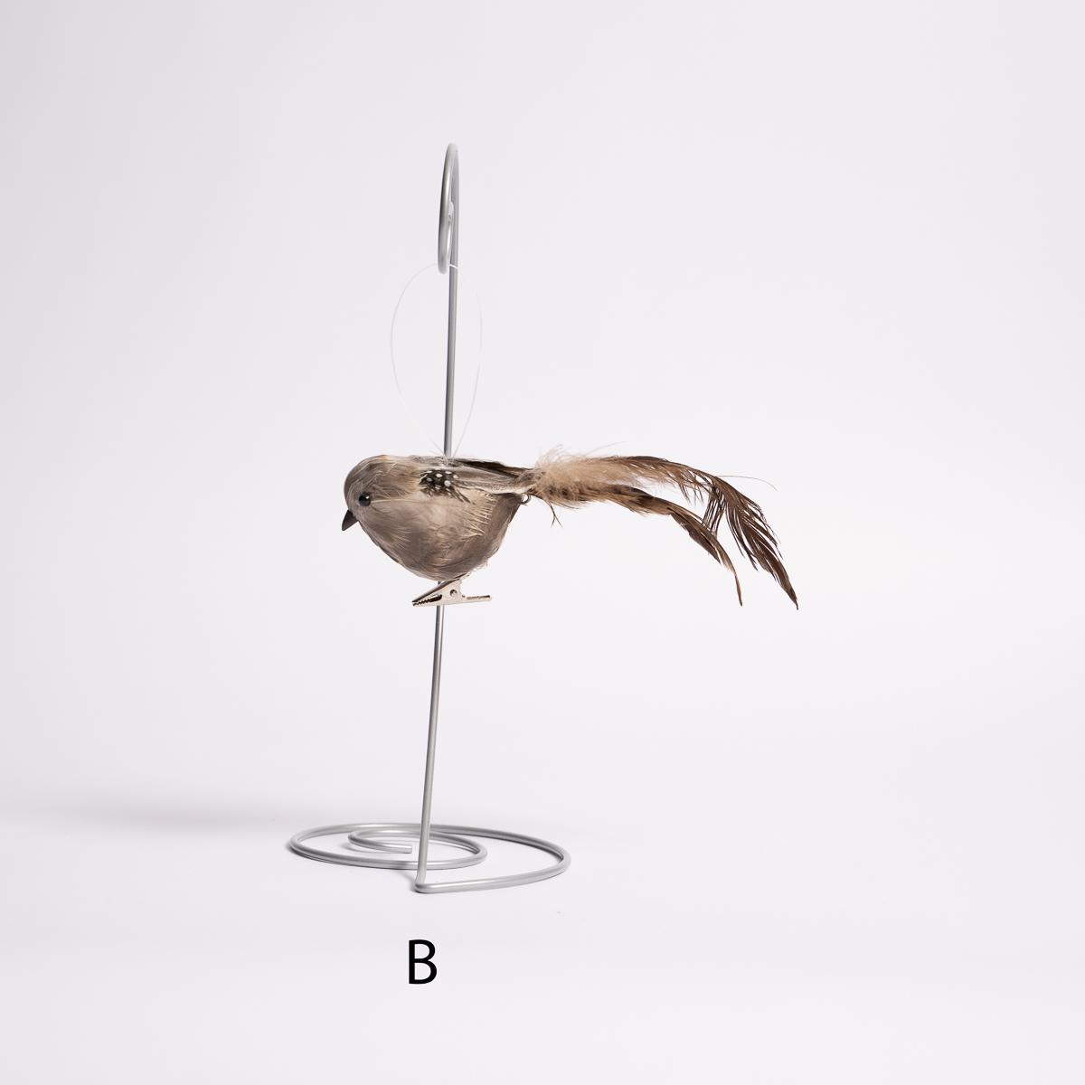 Longtail Quail - Christmas Place