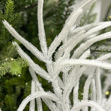 36In Flocked Norfolk Pine Spray