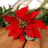 23In Red Royalty Velvet Poinsettia Stem - Christmas Place