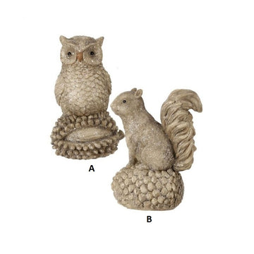 Winter Owl Squirrel