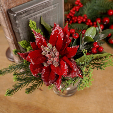 9In Water Iced Poinsettia Arrangement - Christmas Place