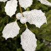 27In White Glitter Holly Leaf Spray - Christmas Place