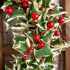 24In Pacific Northwest Holly Berry Wreath - Christmas Place