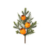 18In Evergreen Orange Clove Pick - Christmas Place